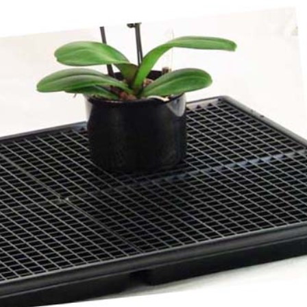 Humidity tray for orchids